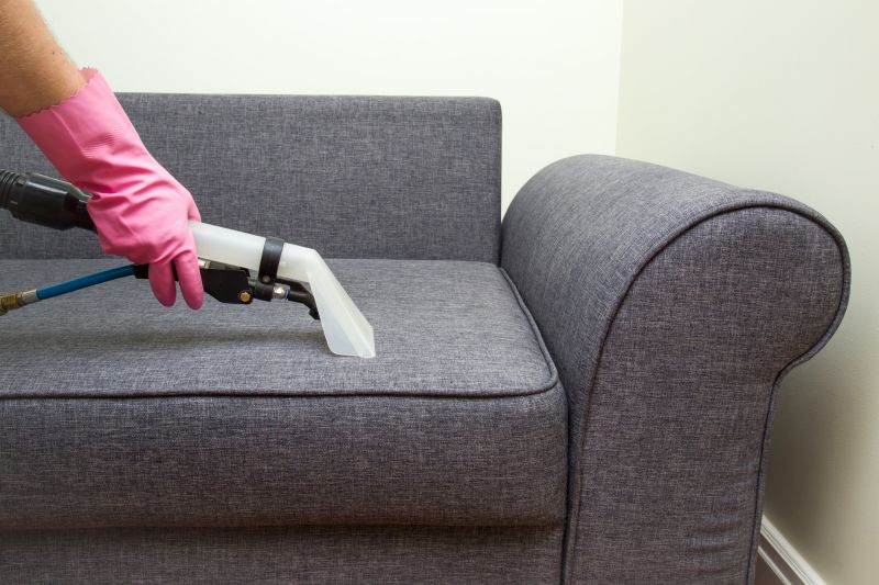 Furniture Cleaning Service