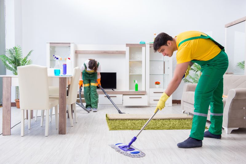 Furniture Cleaning Service detail