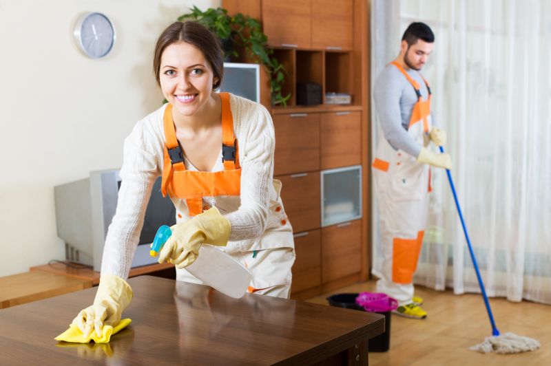 Furniture Cleaning Service detail