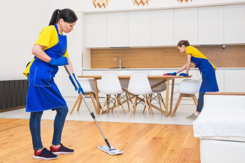 Move In Cleaning Service detail