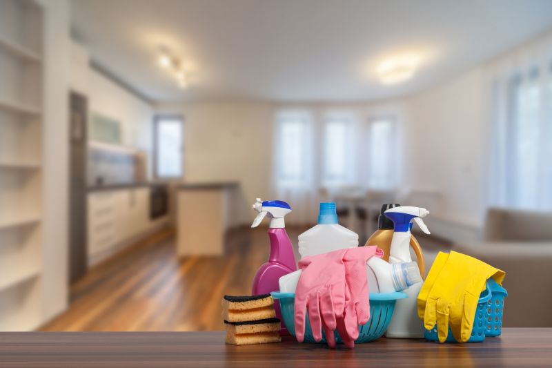 Move Out Cleaning Service detail