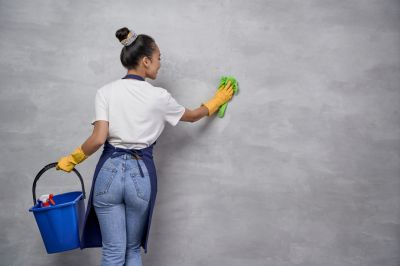 Wall Cleaning Service